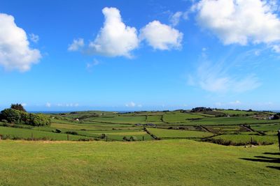 Irish farmland and pastures