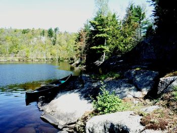 Scenic view of lake in forest against sky