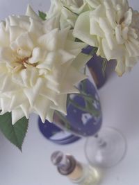 Close-up of white roses in vase