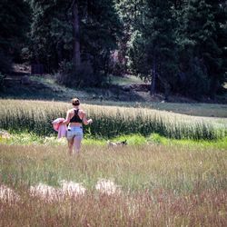 Rear view of woman walking on grassy land