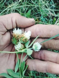 Midsection of person holding flowering plant