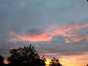 Silhouette tree against sky at sunset