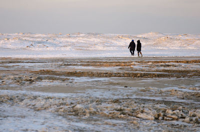 People walking on beach against sky