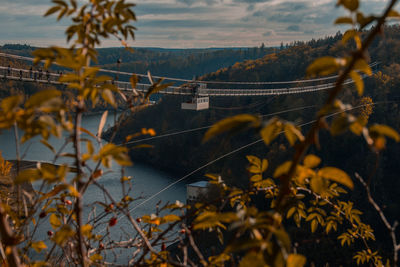 Aerial view of bridge amidst trees against sky during autumn