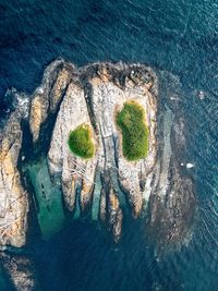 High angle view of rock on sea shore