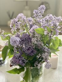 Close-up of potted plant on table