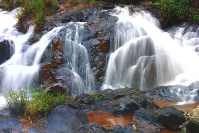 Scenic view of waterfall in forest