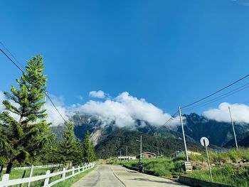 Road by trees against blue sky