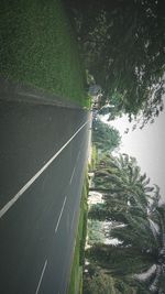 High angle view of road by plants in city