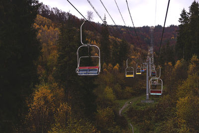 Overhead cable car in forest