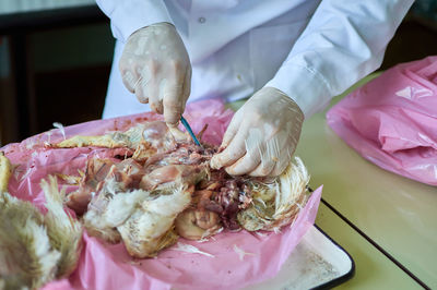 Post-mortem dissection. performing chicken poultry necropsy by veterinarian.