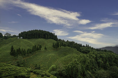 Panoramic view of landscape against sky