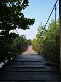 Empty footpath amidst trees in forest against sky