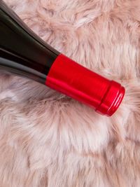 Close-up of dog on floor