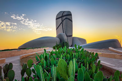 View of cactus plant against sky during sunset