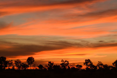 Silhouette trees against dramatic sky during sunset