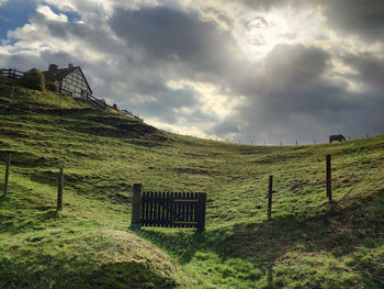 Scenic view of field against sky