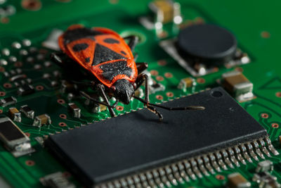 High angle view of beetle on motherboard