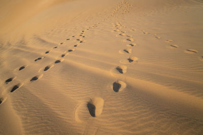 High angle view of footprints on sand at desert