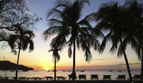 Silhouette palm trees by swimming pool against sky during sunset