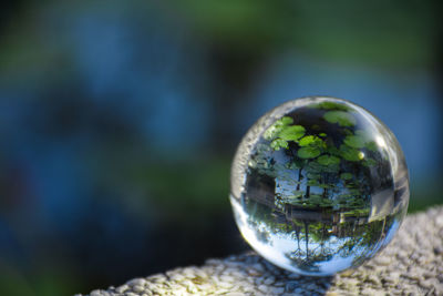 Close-up of glass with ball