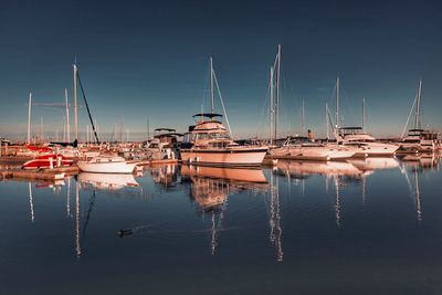 Sailboats moored in harbor