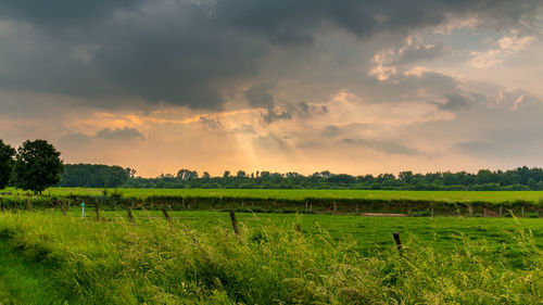 Scenic view of grassy field against sky during sunset