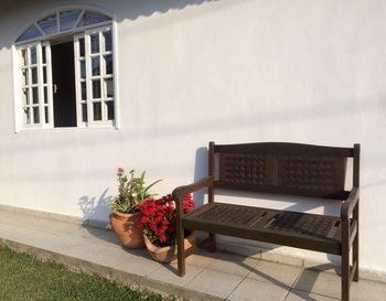 Potted plant on table by building