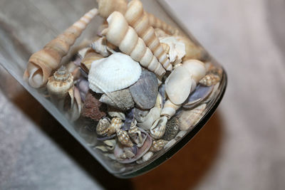 High angle view of shells on the table