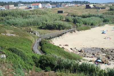 High angle view of trees on field against buildings