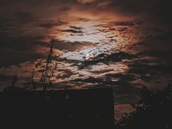 Low angle view of silhouette plants against dramatic sky