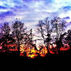 Silhouette of bare tree against cloudy sky