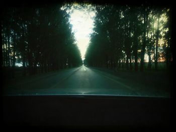 Road passing through forest