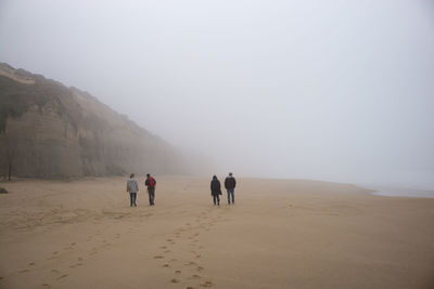 Rear view of people walking at beach against sky during winter