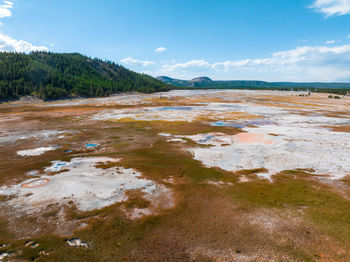 Upper geyser basin of yellowstone national park, wyoming, united states