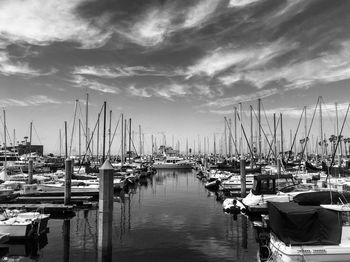 Sailboats moored in harbor