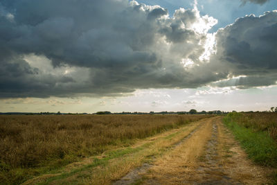 Grassy road through the fields and rain cloud, summer rural landscape