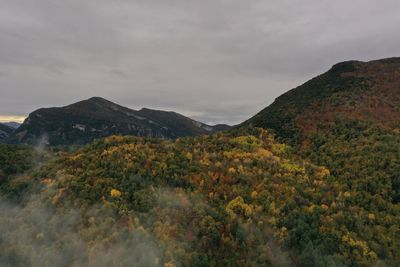 Pine mountains in autumn time, trees with reddish leaves