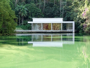 Swimming pool by lake against trees and plants