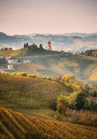 Scenic view of agricultural field against sky during sunset