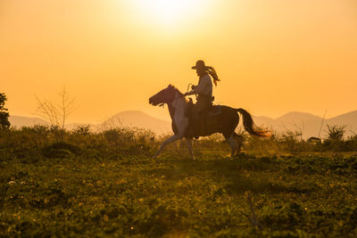 View of horse on field against orange sky