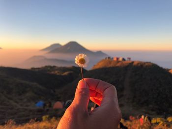 Midsection of person holding orange flower against sky during sunset