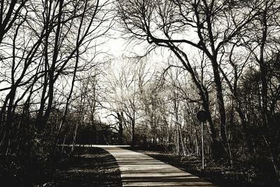 Trees against sky