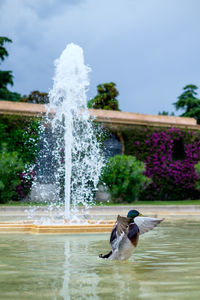 Water splashing in lake