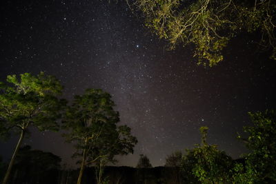 Low angle view of stars in sky