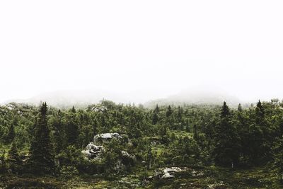 Scenic view of landscape against clear sky