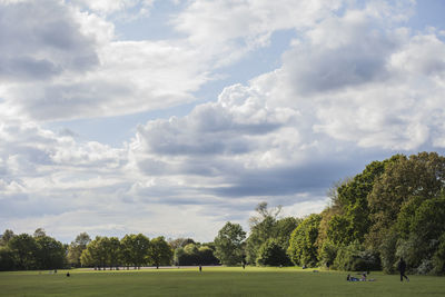 Scenic view of trees on field against sky