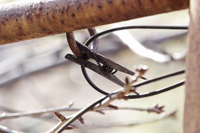 Close-up of rusty metal