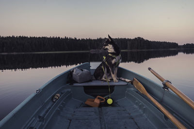 Dog on rowboat at sunset on calm lake horizontal