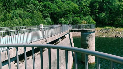 View of bridge in forest